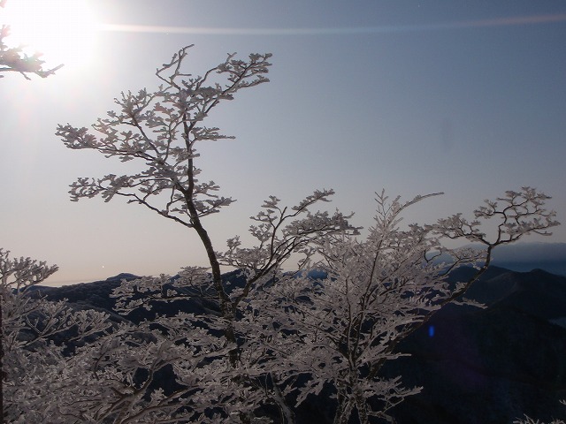 c0147398_222356100.jpg