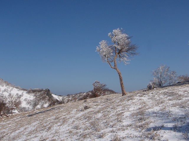 c0147398_22242042.jpg