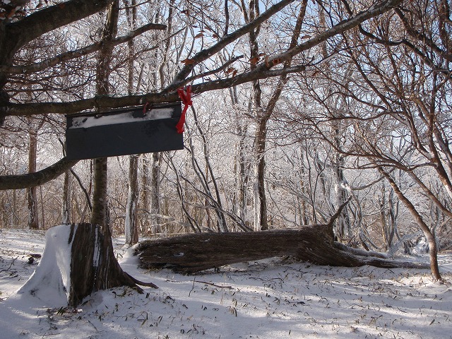 c0147398_22243261.jpg