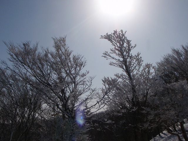 c0147398_22244368.jpg
