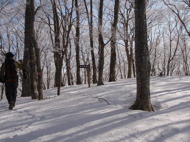 c0147398_2224483.jpg