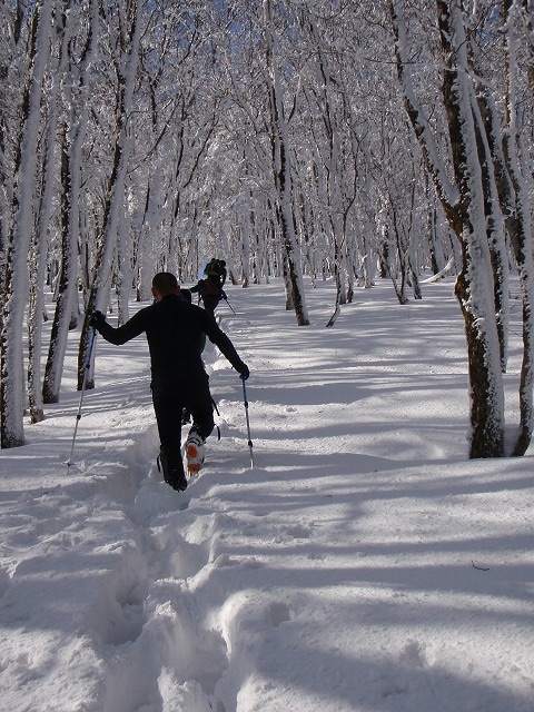 c0147398_22251744.jpg