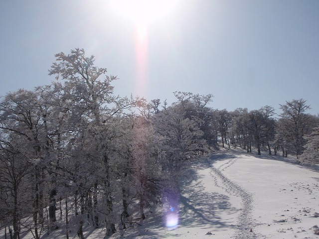 c0147398_22252650.jpg