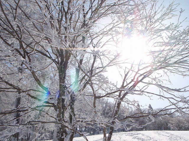 c0147398_22253586.jpg