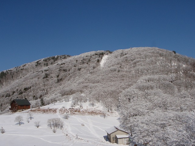 c0147398_22255318.jpg