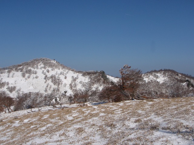 c0147398_2225874.jpg