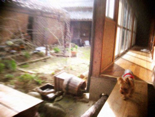 d0077603_13184594.jpg