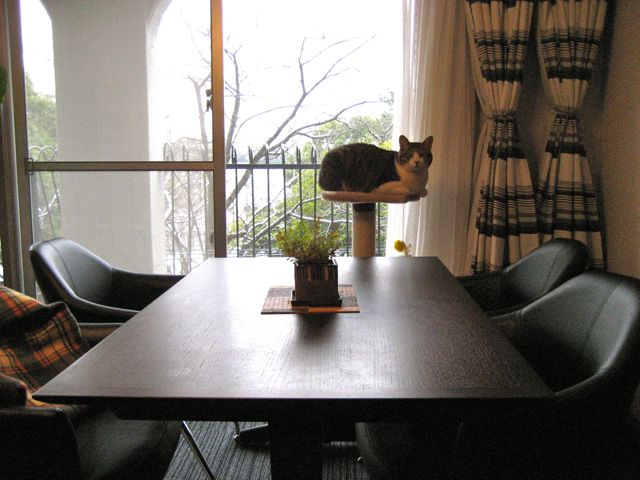 c0114110_14343137.jpg