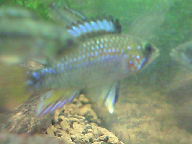c0224611_2142097.jpg