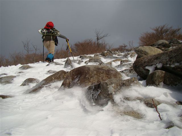 a0127015_2010315.jpg