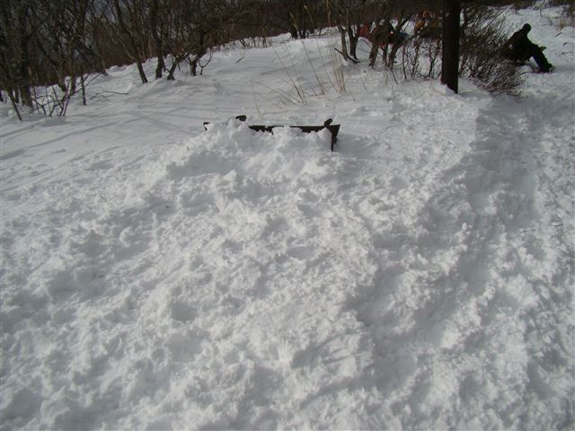 a0127015_20114944.jpg