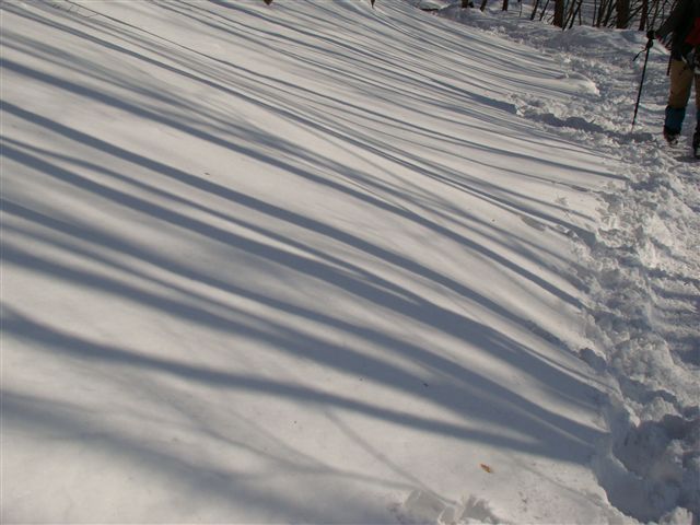 a0127015_2039058.jpg