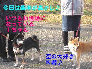c0185516_14165783.jpg