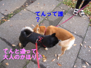 c0185516_14171472.jpg