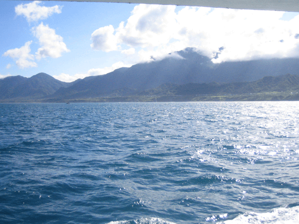 f0161318_124162.gif
