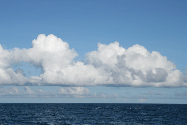 f0161318_134662.gif