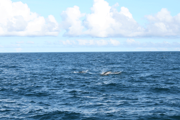 f0161318_144736.gif