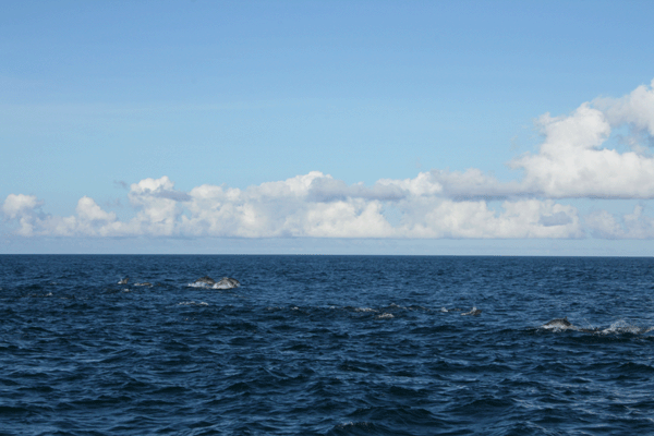 f0161318_154370.gif