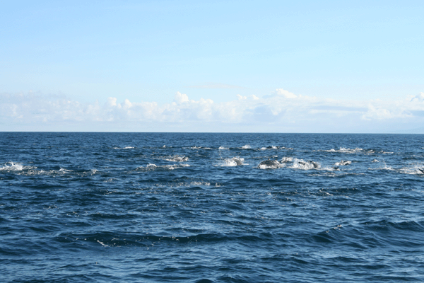 f0161318_155620.gif