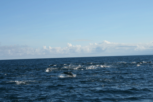 f0161318_16918.gif