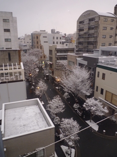 f0031420_885476.jpg