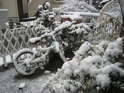 f0139520_176348.jpg