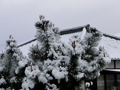 b0057133_10453985.jpg