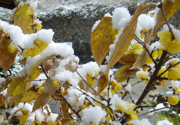 c0183137_2134161.jpg