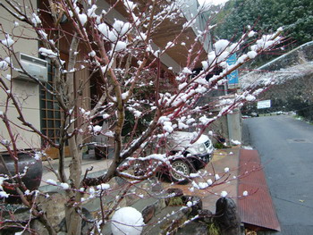 c0183137_218404.jpg