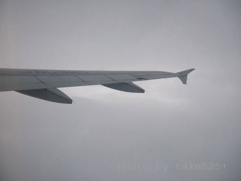 a0116946_6423936.jpg