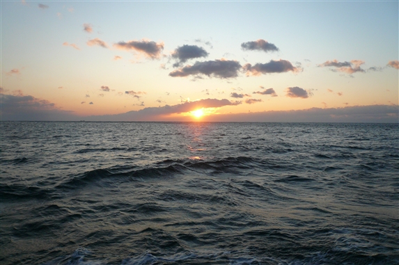 b0072651_17205527.jpg