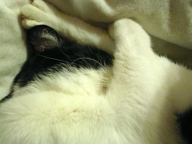 c0138553_21595057.jpg