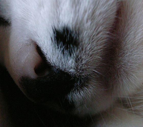 c0138553_2201764.jpg
