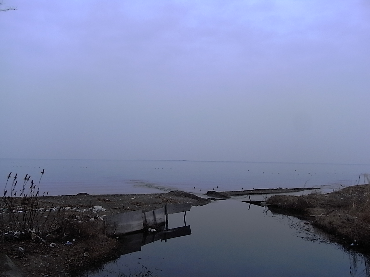 f0178153_19264265.jpg