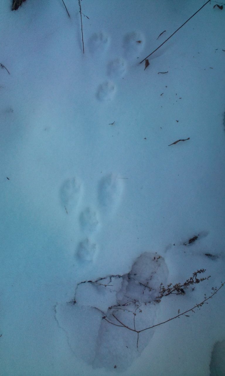 f0198253_23165440.jpg