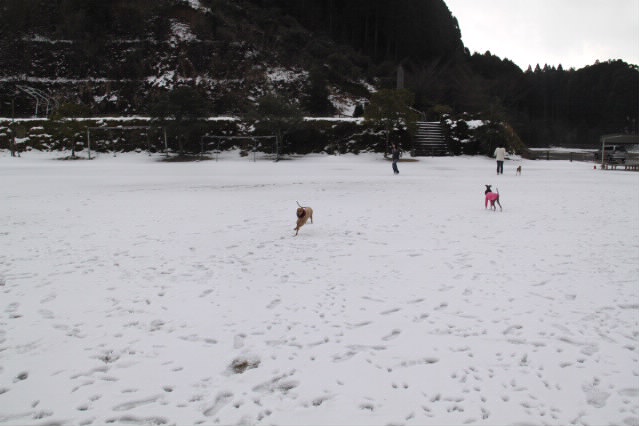 f0198253_2334010.jpg