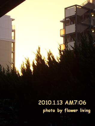 e0170658_13144783.jpg