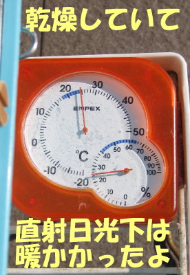 b0158061_2051198.jpg