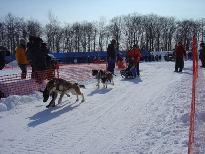 e0169262_214013.jpg