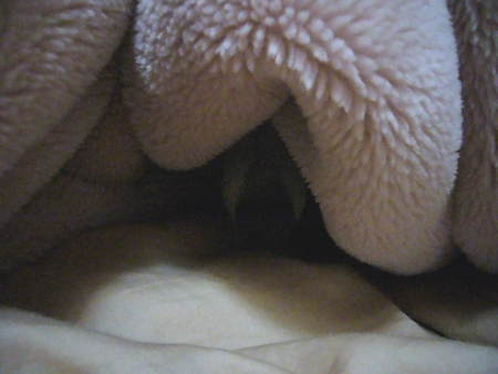 b0069169_1449154.jpg