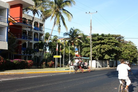 a0100975_14224043.jpg