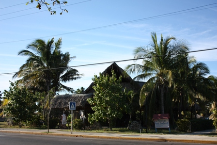 a0100975_14225870.jpg