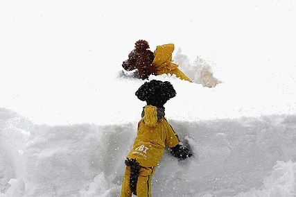b0111376_164294.gif