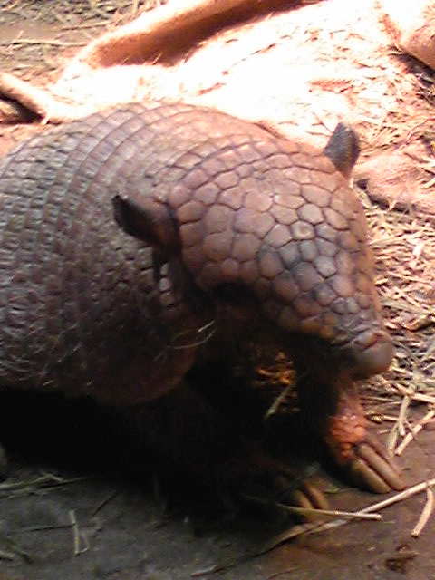c0137778_13111743.jpg