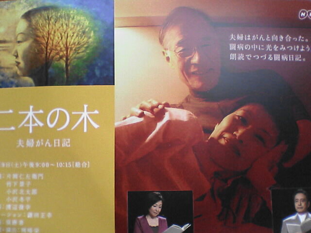 c0069380_16362873.jpg
