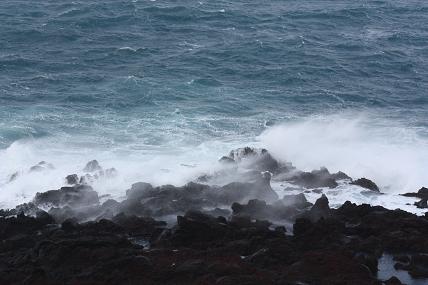 c0204385_17224238.jpg