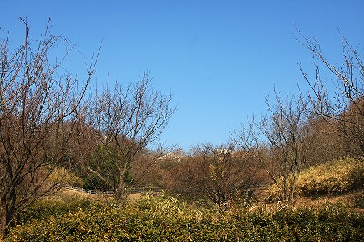 e0190885_19222730.jpg
