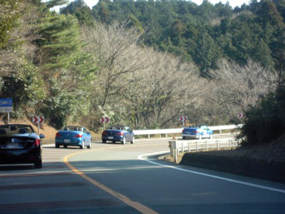d0044986_7392883.jpg