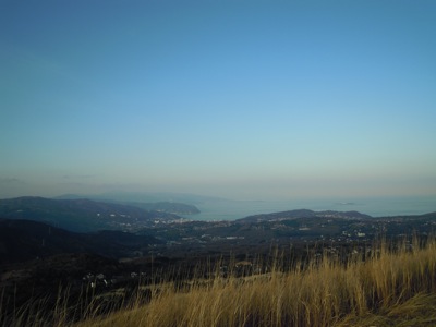 d0044986_7482575.jpg