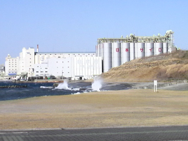 b0175688_17251650.jpg